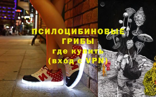 прущая мука Арсеньев