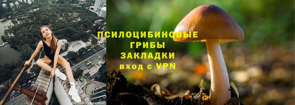 прущая мука Арсеньев