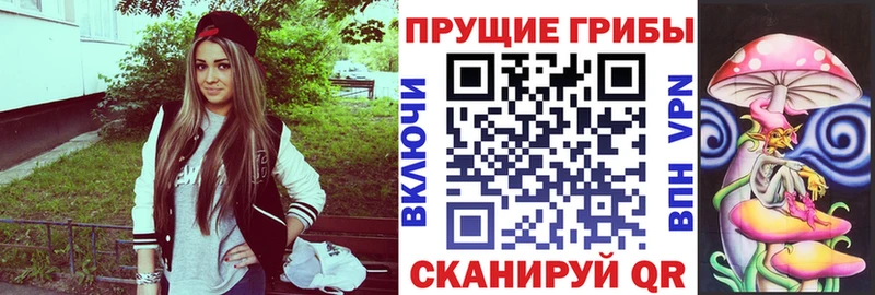 Купить где  Бутурлиновка  Галлюциногенные грибы Psilocybine cubensis 